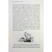 Книга Кінь і його хлопчик. Хроніки Нарнії. Книга 3 / К.С.Льюїс (українською)