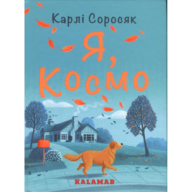 Книга Я, Космо