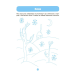 Готуємось до НУШ. Інтегровані заняття. Розвиток мовлення. Ознайомлення з природою та навколишнім світом. Зошит 3-4 роки