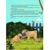 Книга Усміхнися, Бурмопсику! Астнер Люсі. Маленьке диво (українською)